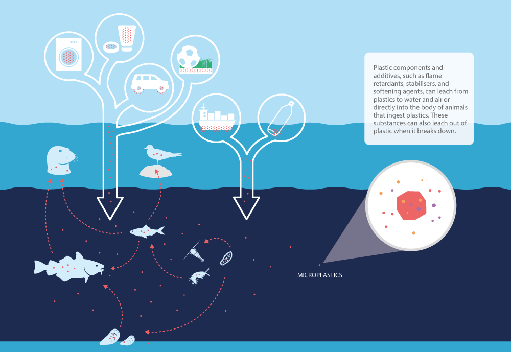 The widespread effects of microplastics can spread throughout various environments